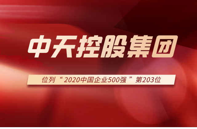 控股集团列2020中国企业500强第203位！
